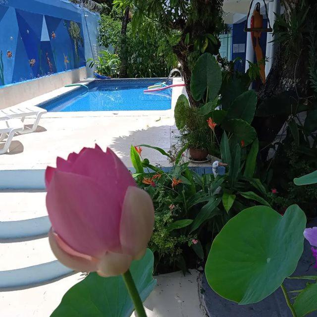 Porto Bahia Hotel Porto Seguro Kültér fotó