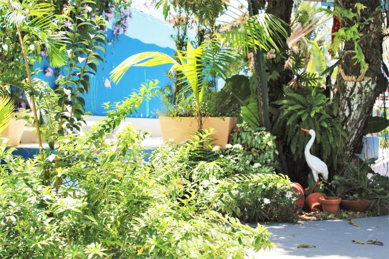 Porto Bahia Hotel Porto Seguro Kültér fotó